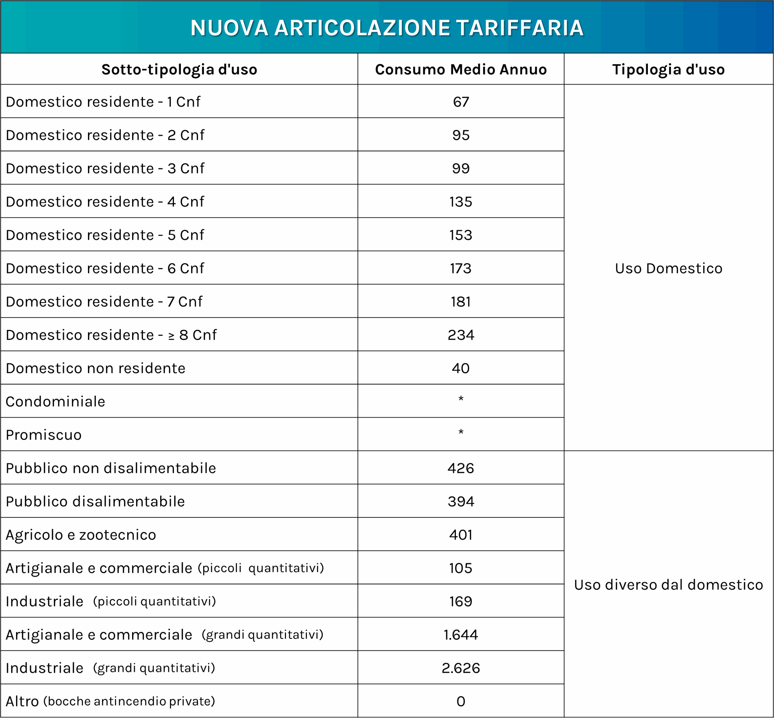 CMA 2025 Consumo medio annuo 2025