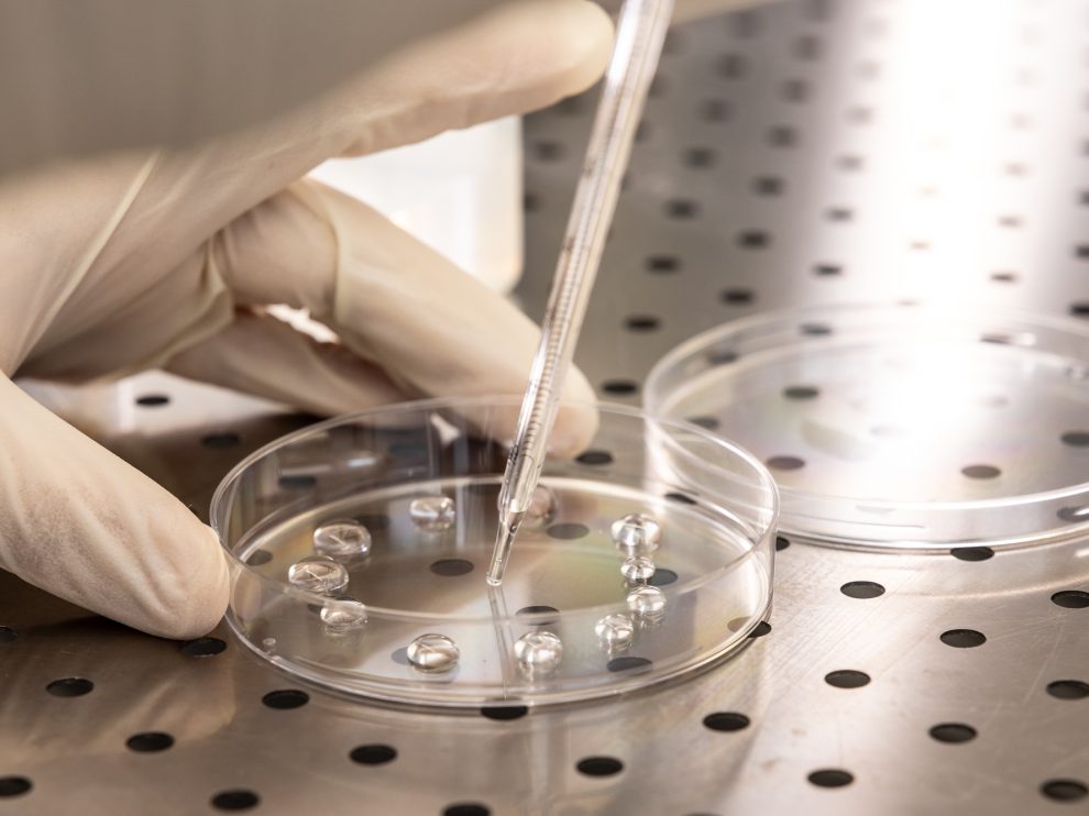 laboratorio analisi acque